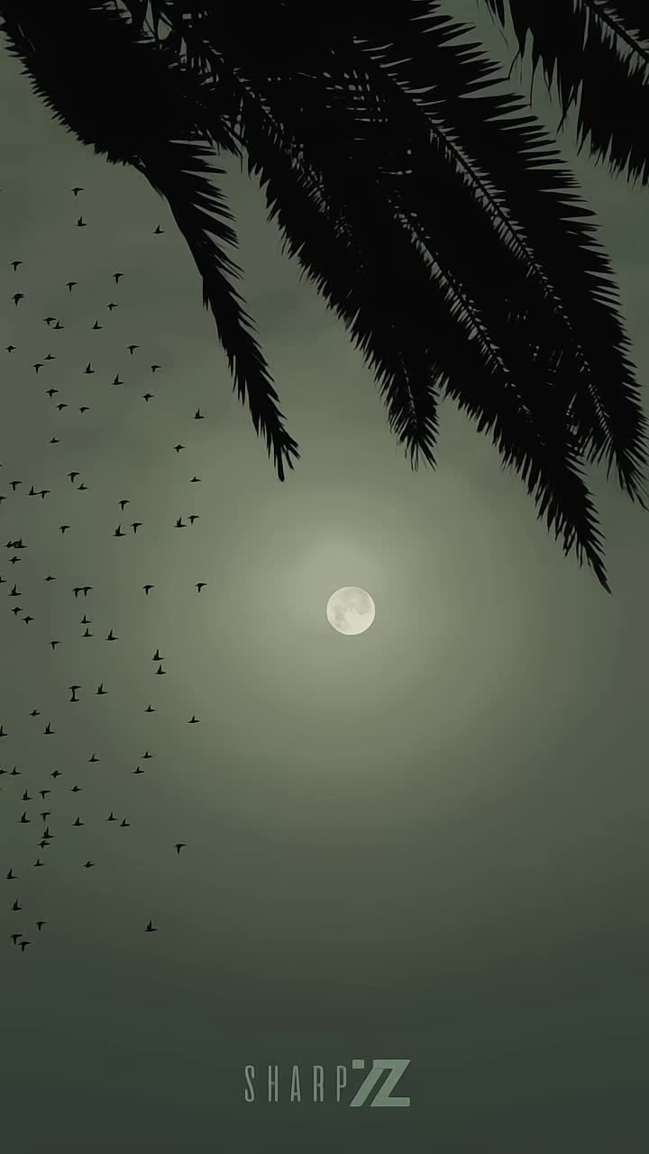 @𝗦𝗛𝗔𝗥𝗣𝗭 🇲🇾