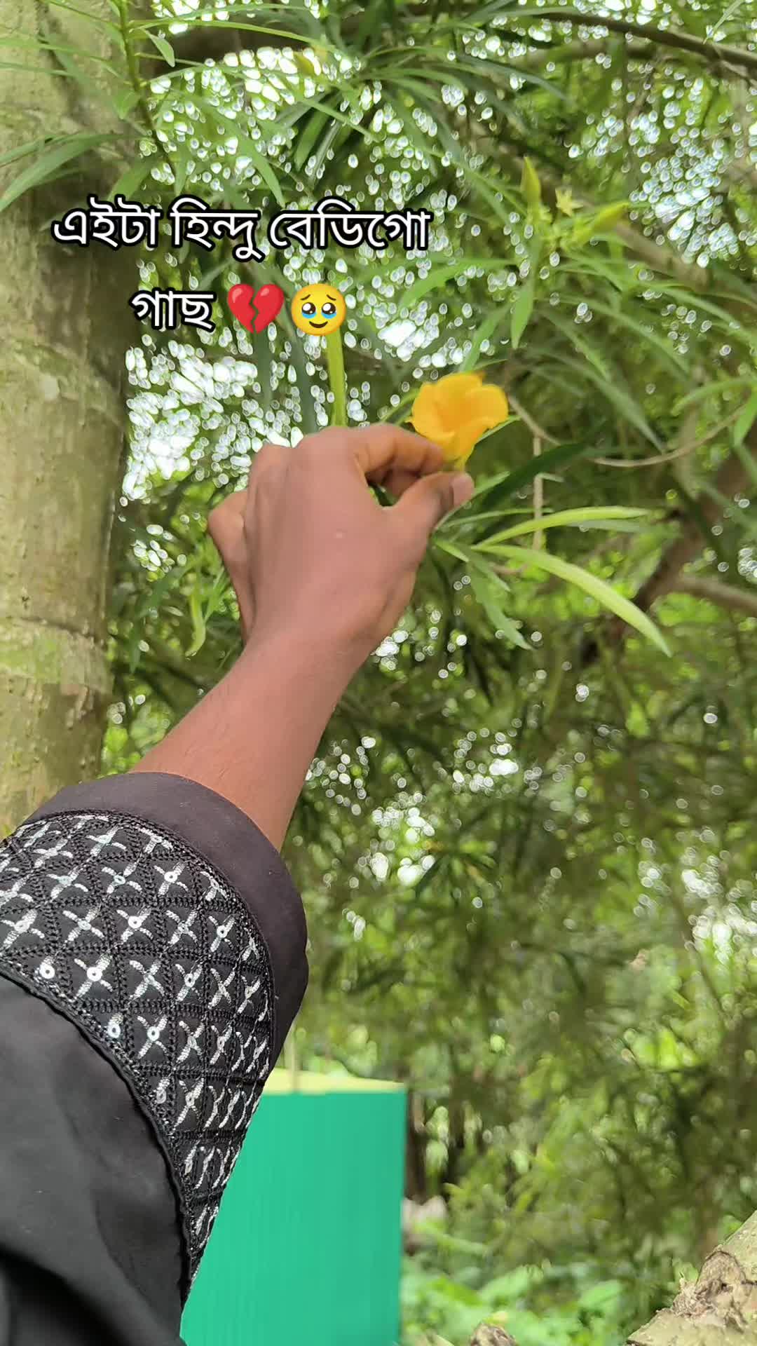 @🇧🇩 🇳 🇷 🇲🇾
