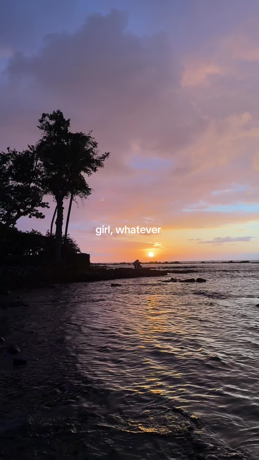 @sachi 💜 | san francisco