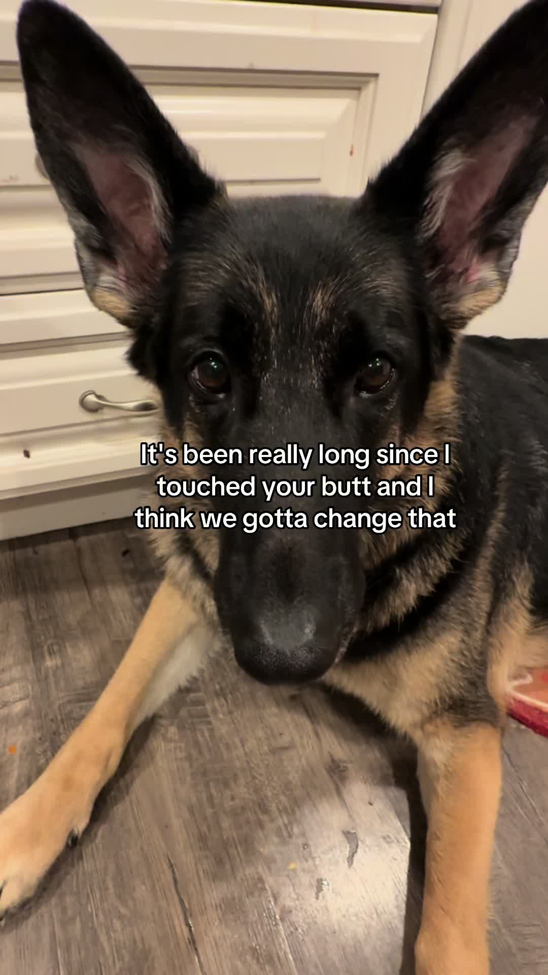 @Bhris