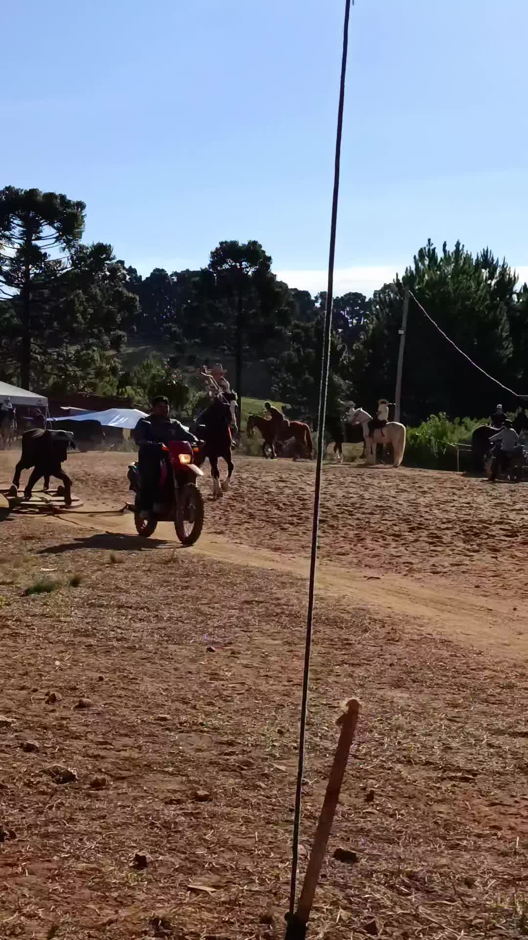 @BOIADEIRA 🐎➰🐄