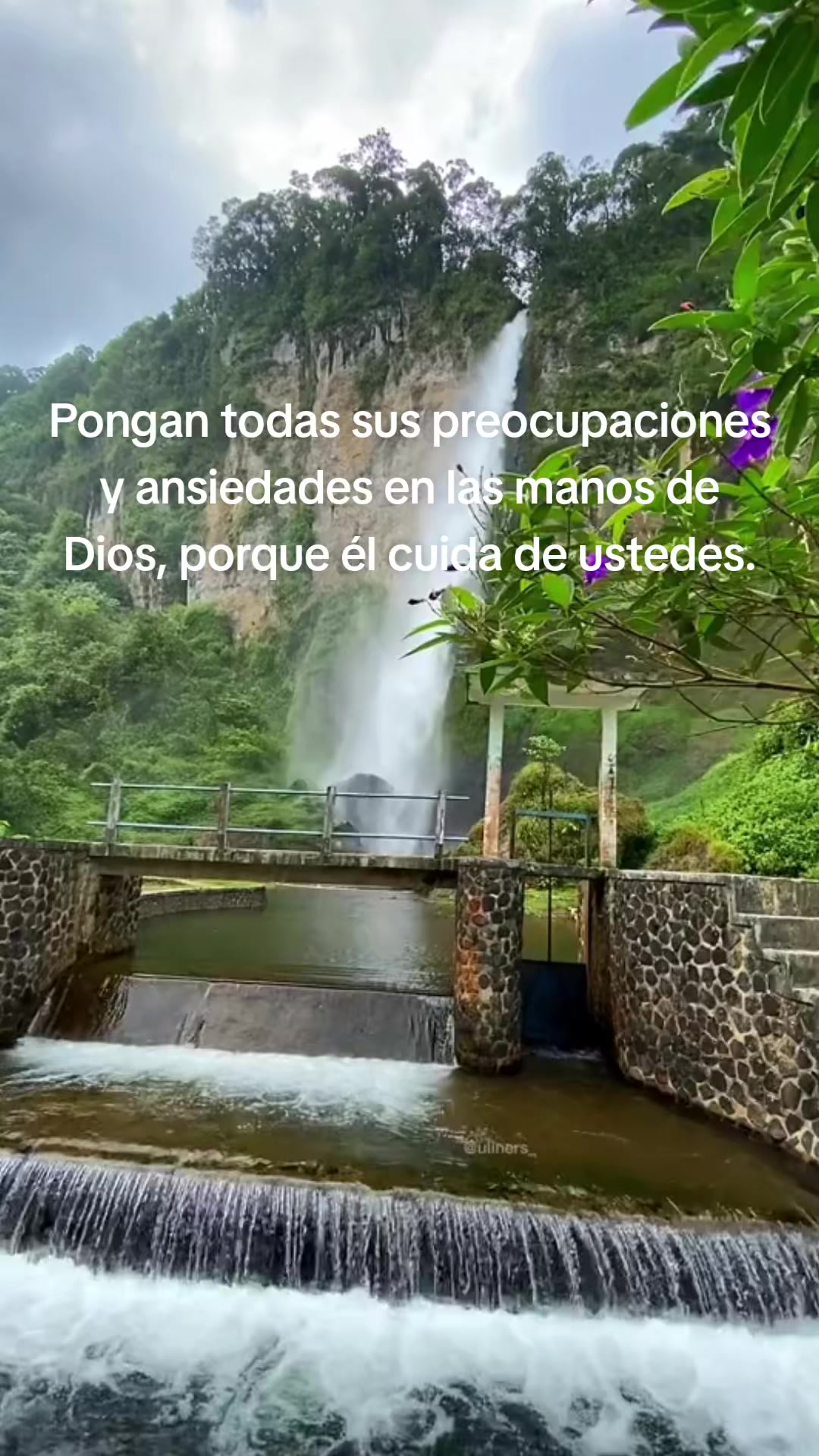 @Elfego Lopez