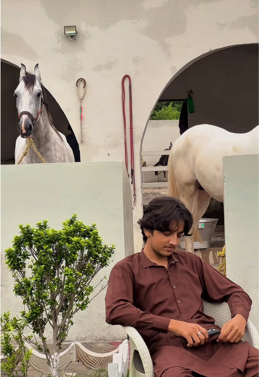 @ہارون🕊️