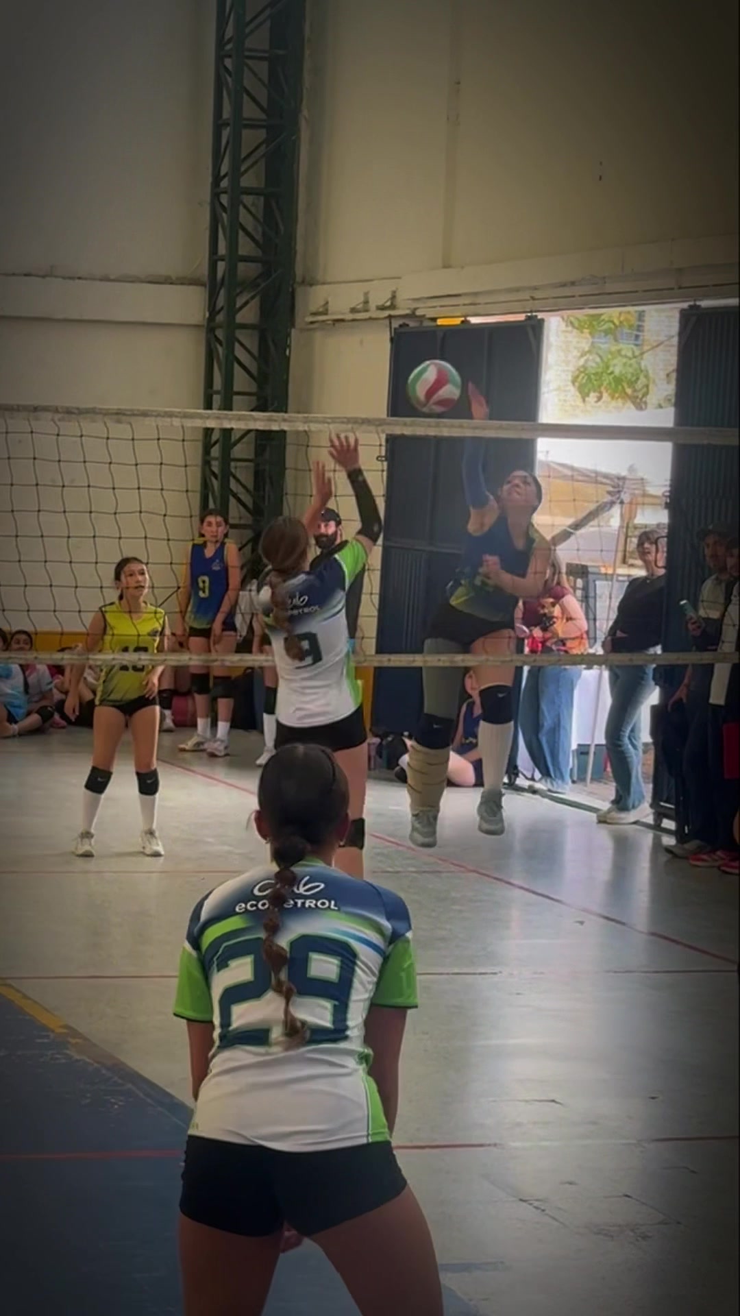 @Isabella Amaya Volley 23
