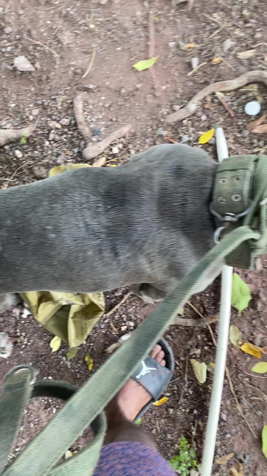 @🍀_Davian_14🇯🇲🇧🇷