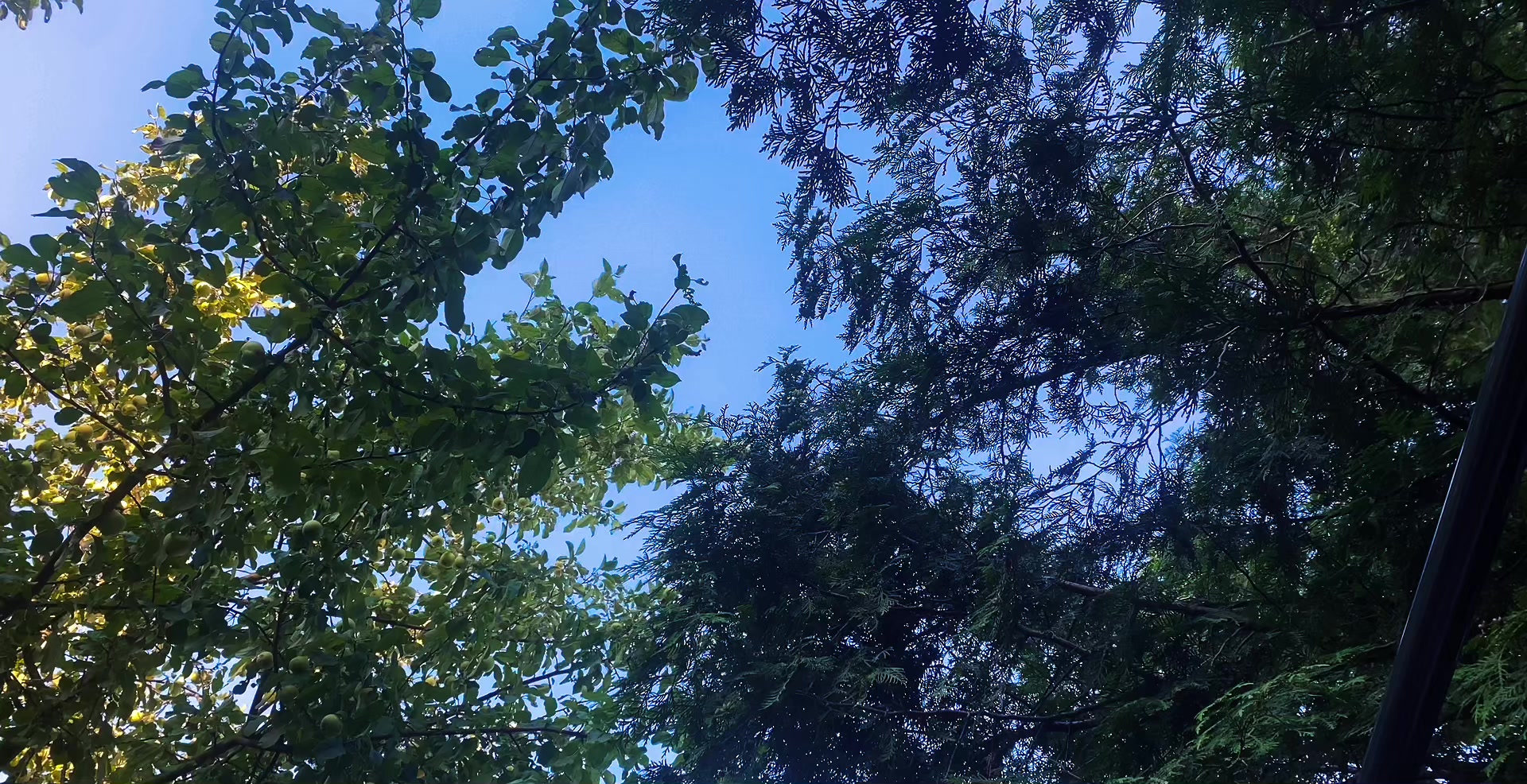 @n9onnn🧃🌍