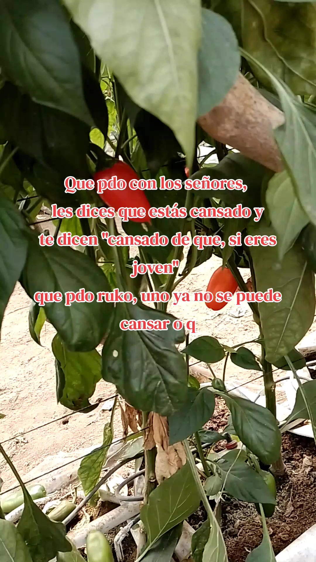 @@reliGO