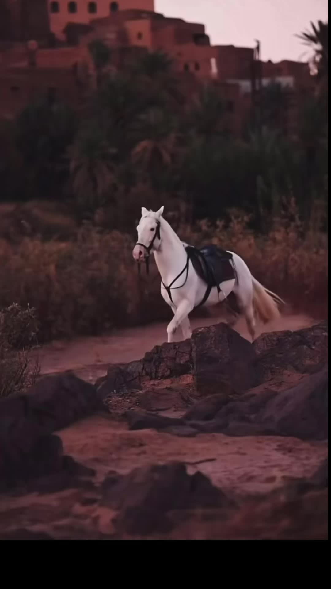 @🌻🦙🦉🦁JC7⛰️🦅🧚🎀