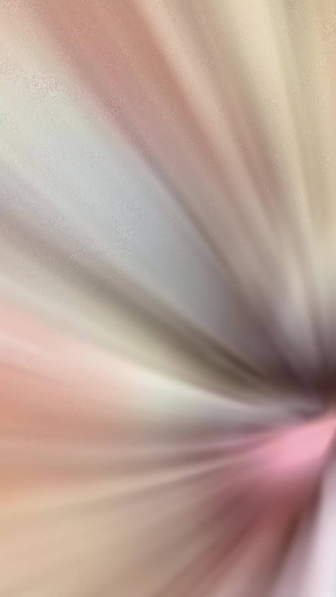 @AnimeZz