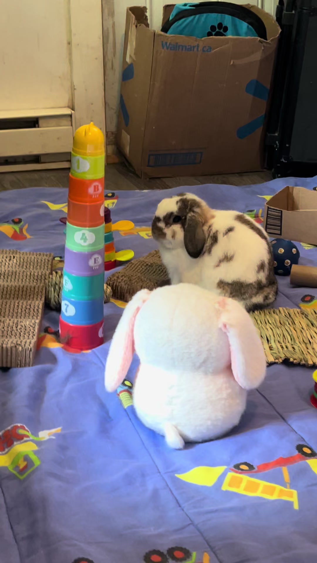@Mrdivaandgizmoandfriends
