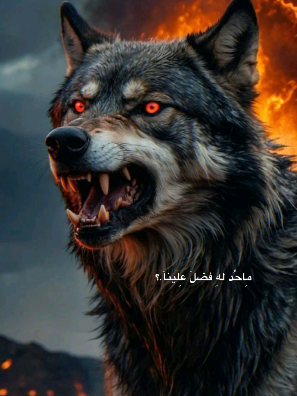 @⚜️👑الكاسح السوري👑⚜️