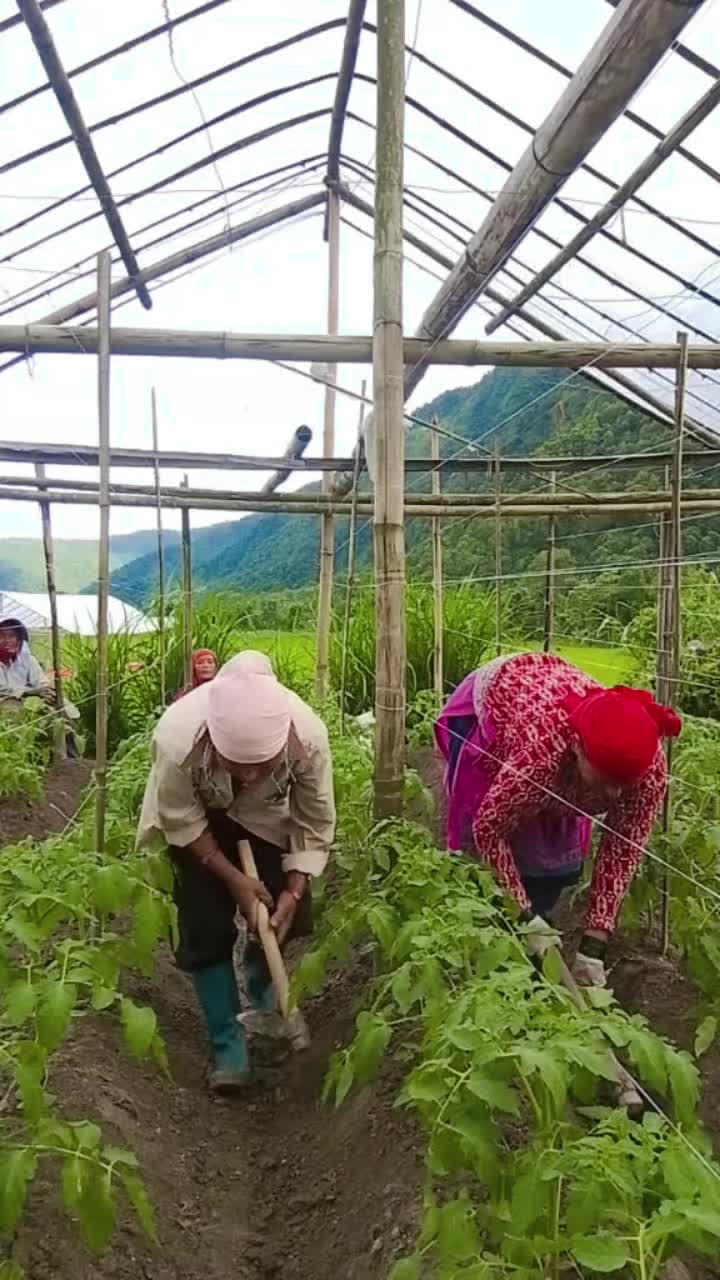 @laxmi Adhikari