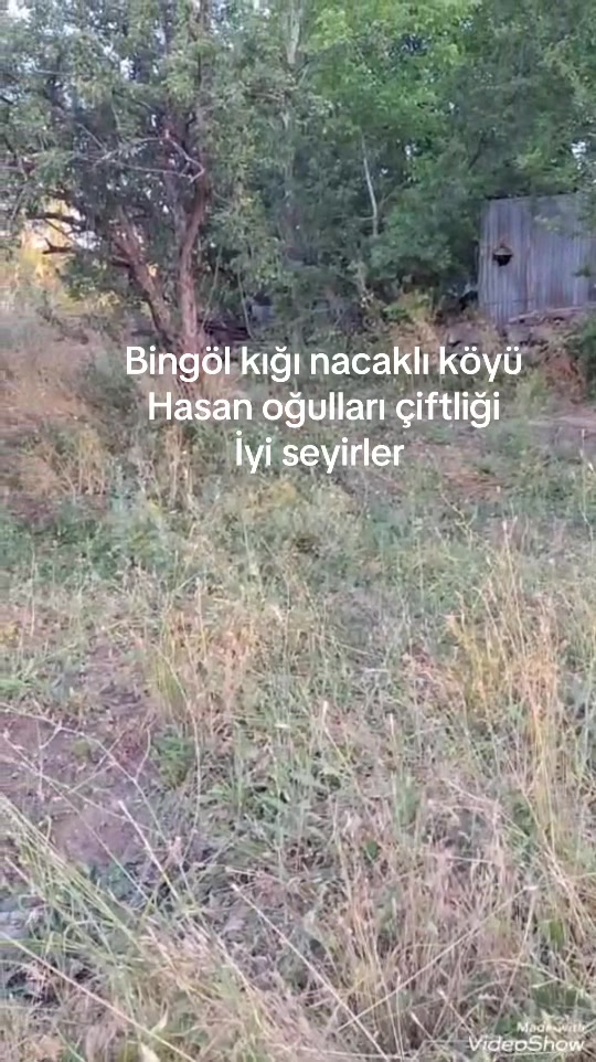 @kığılı 12 CHEF