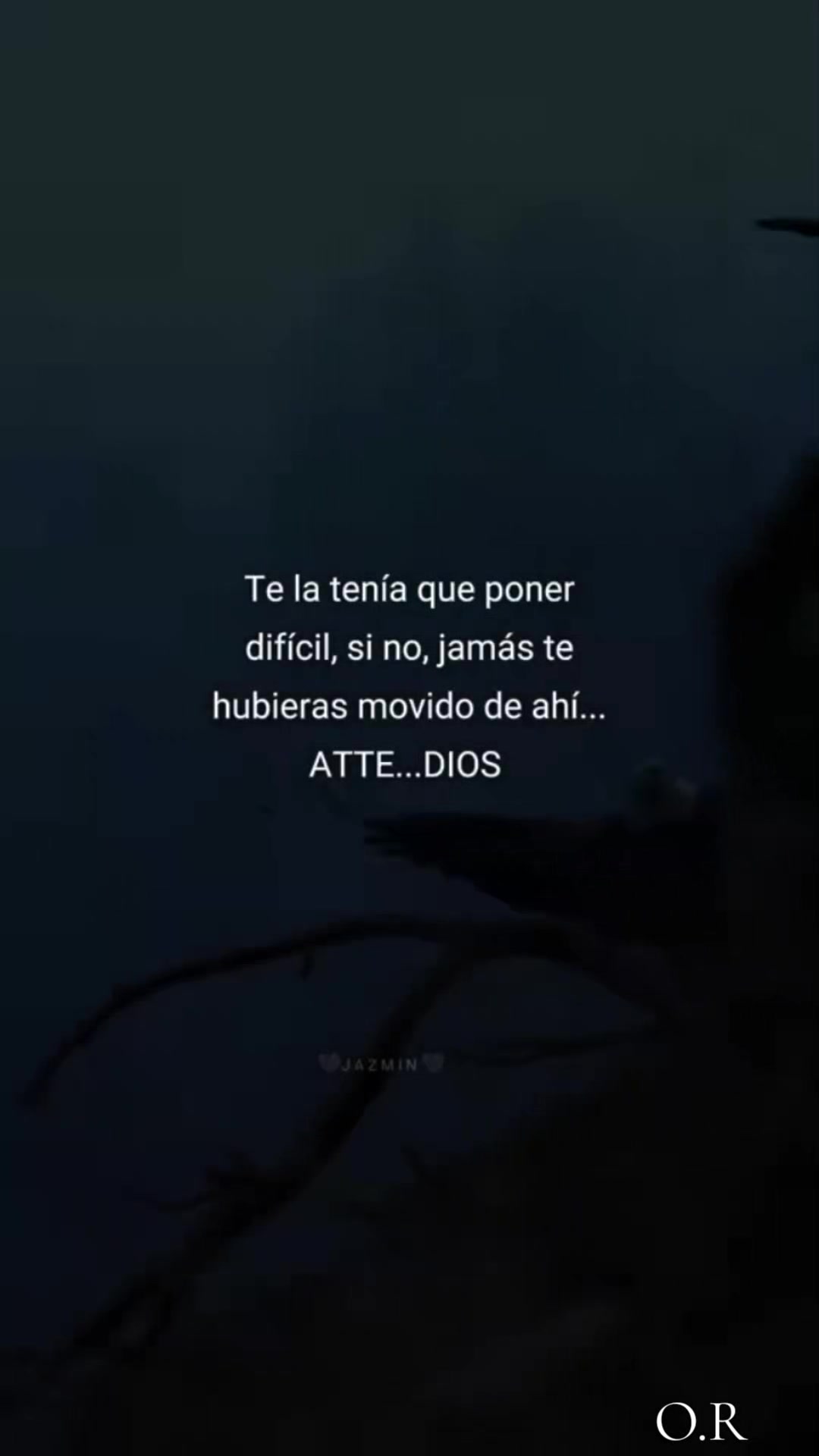 @Orlando José Rodríguez