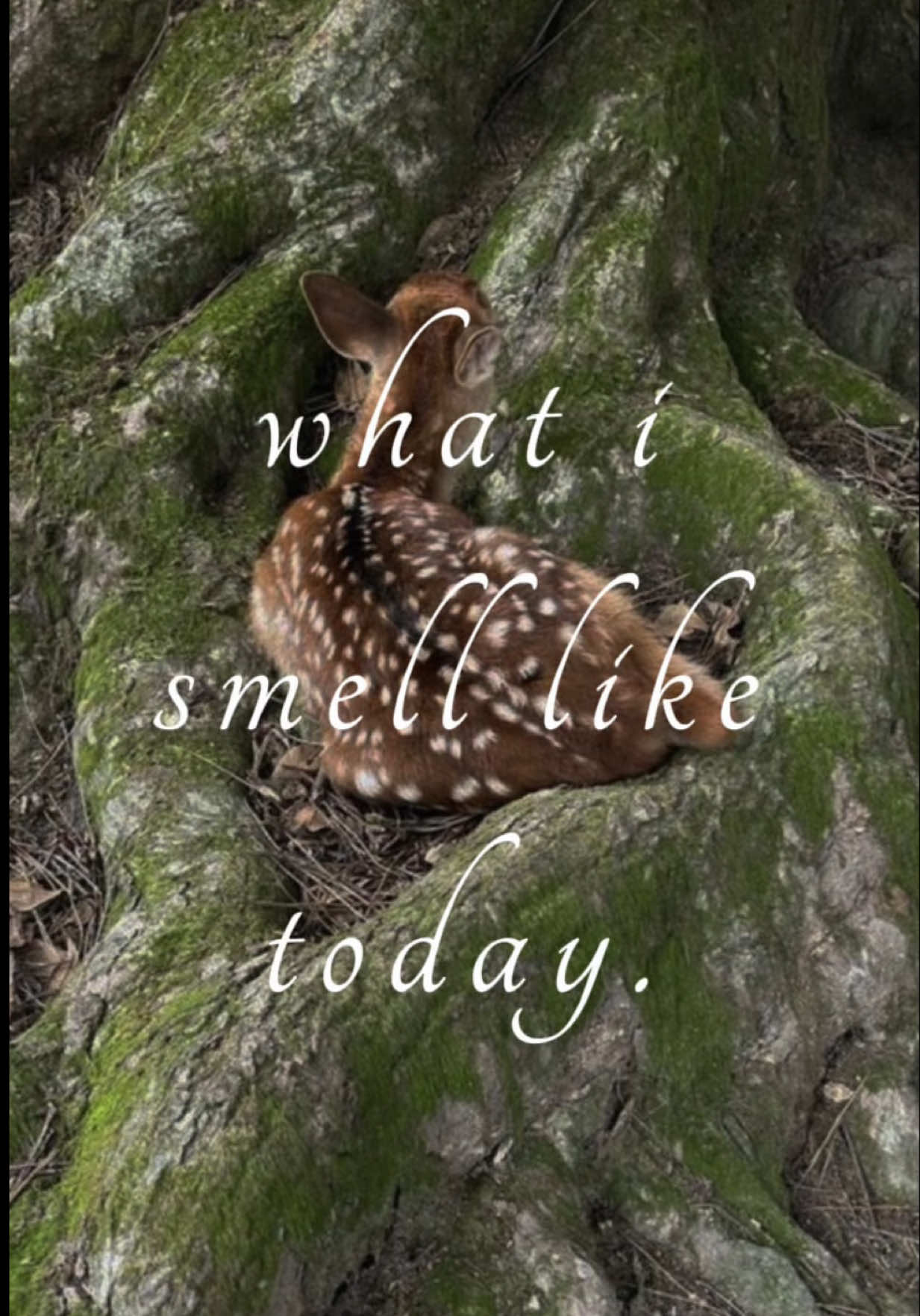 @briley alexandra 🦢