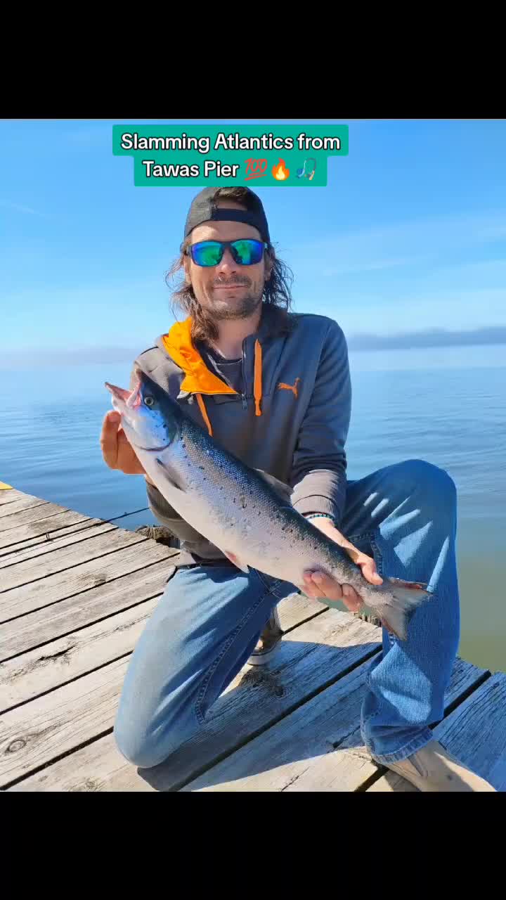 @RiverOtter3