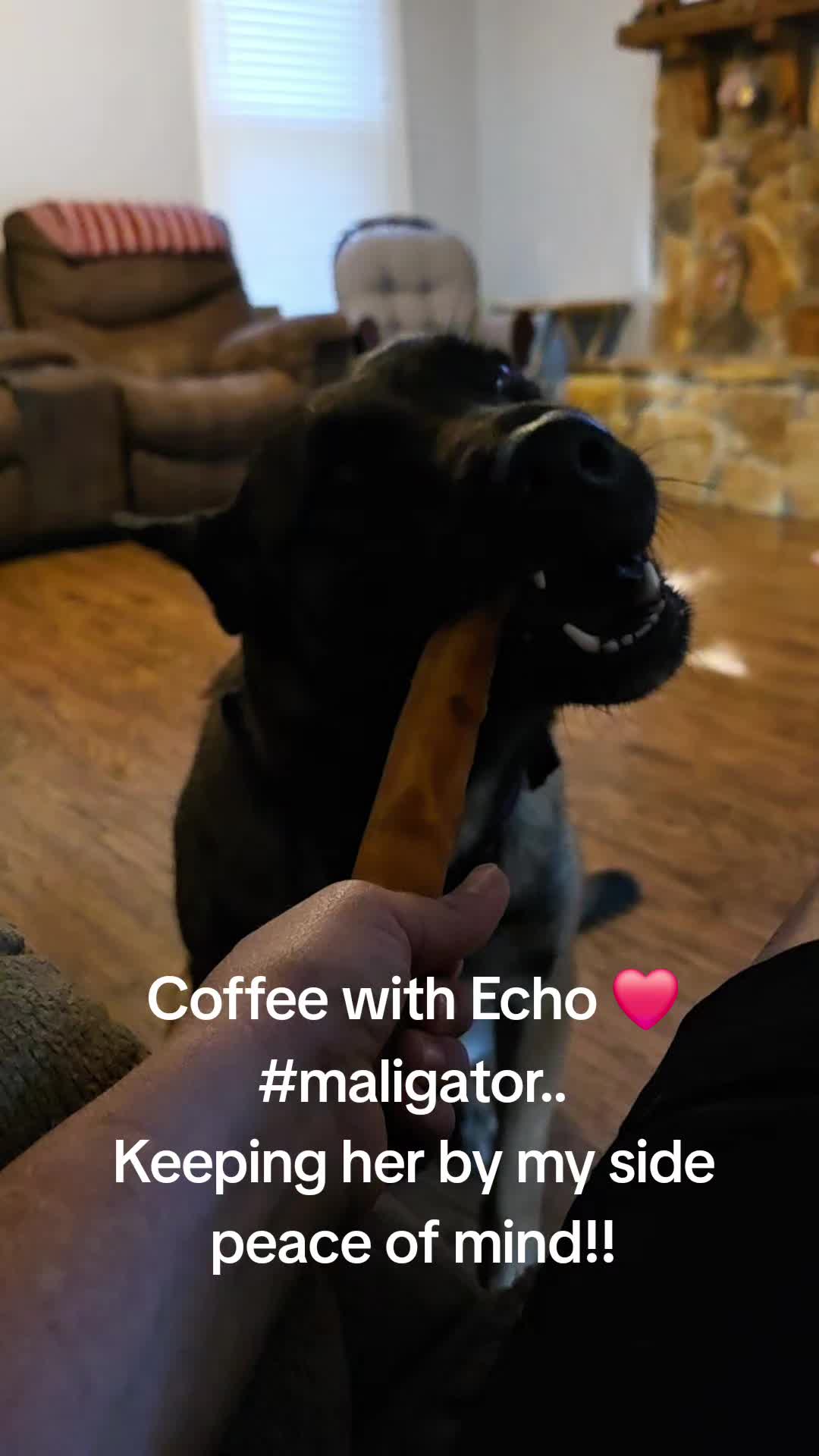 @Echo!