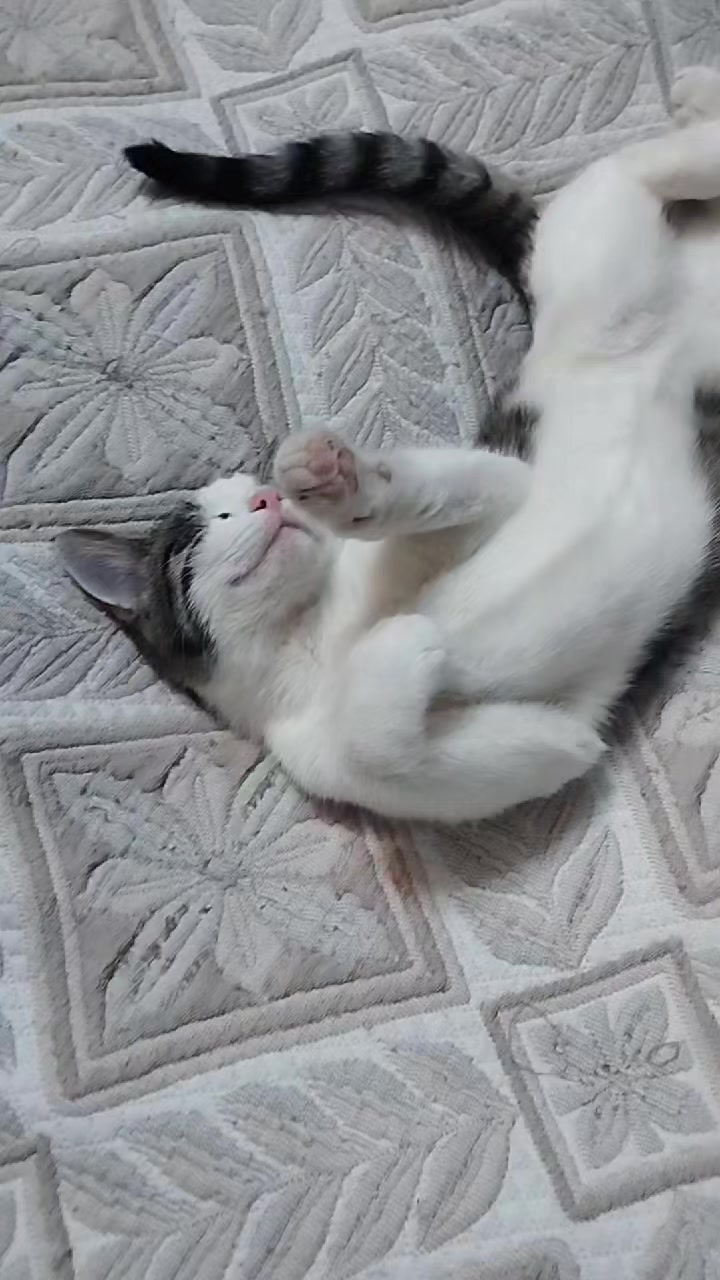 @miniş