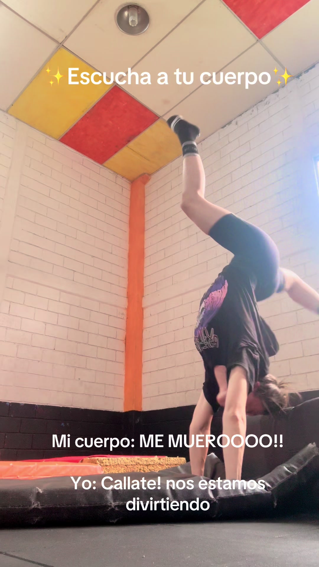 @NutriaHomicida