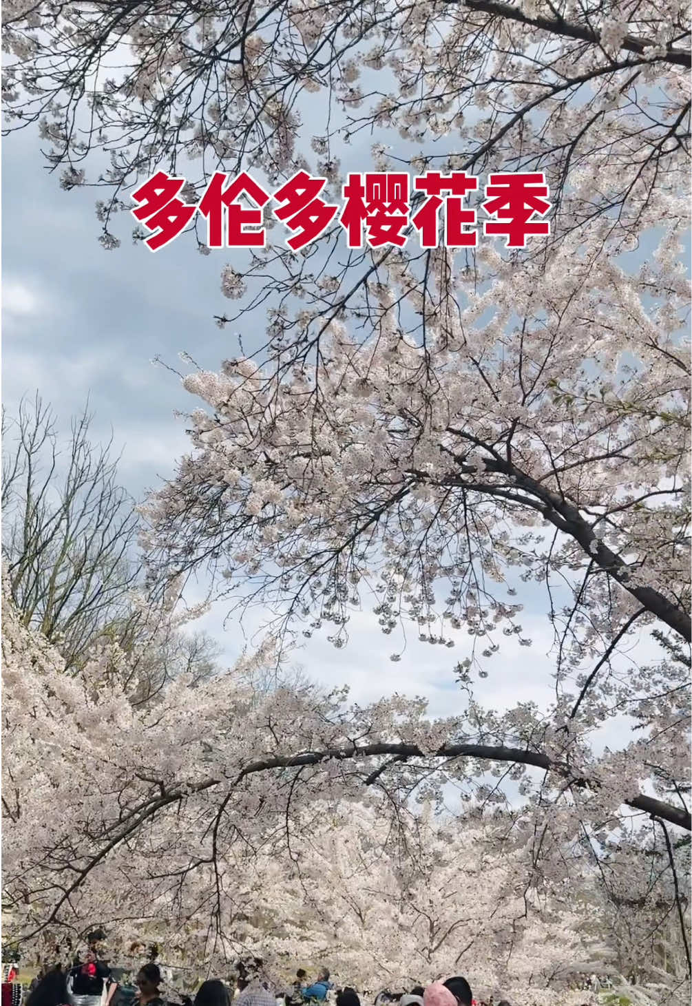 @ellywu138