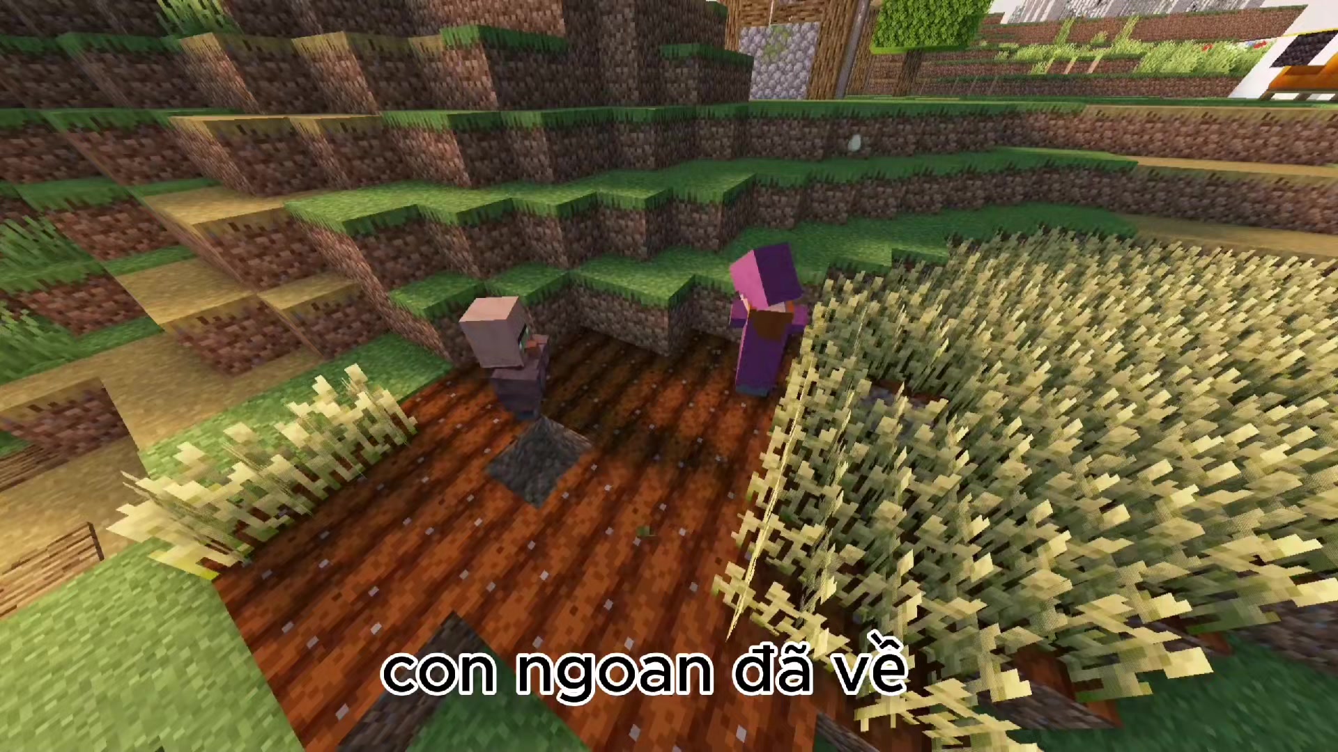 @Cáo Mc