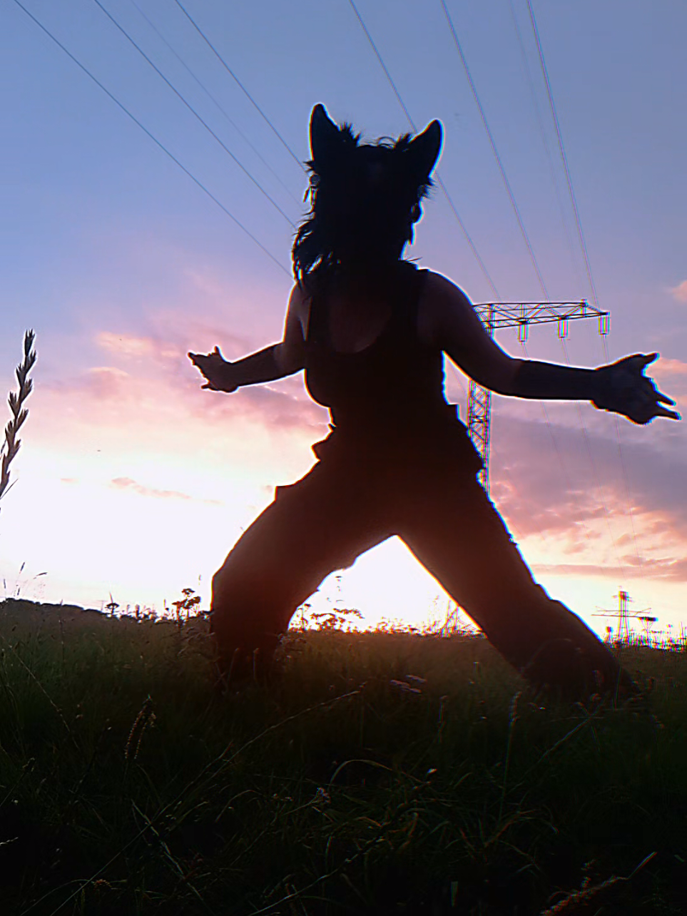 @&times;*Jasmin_Fox✨Wolf*&times;