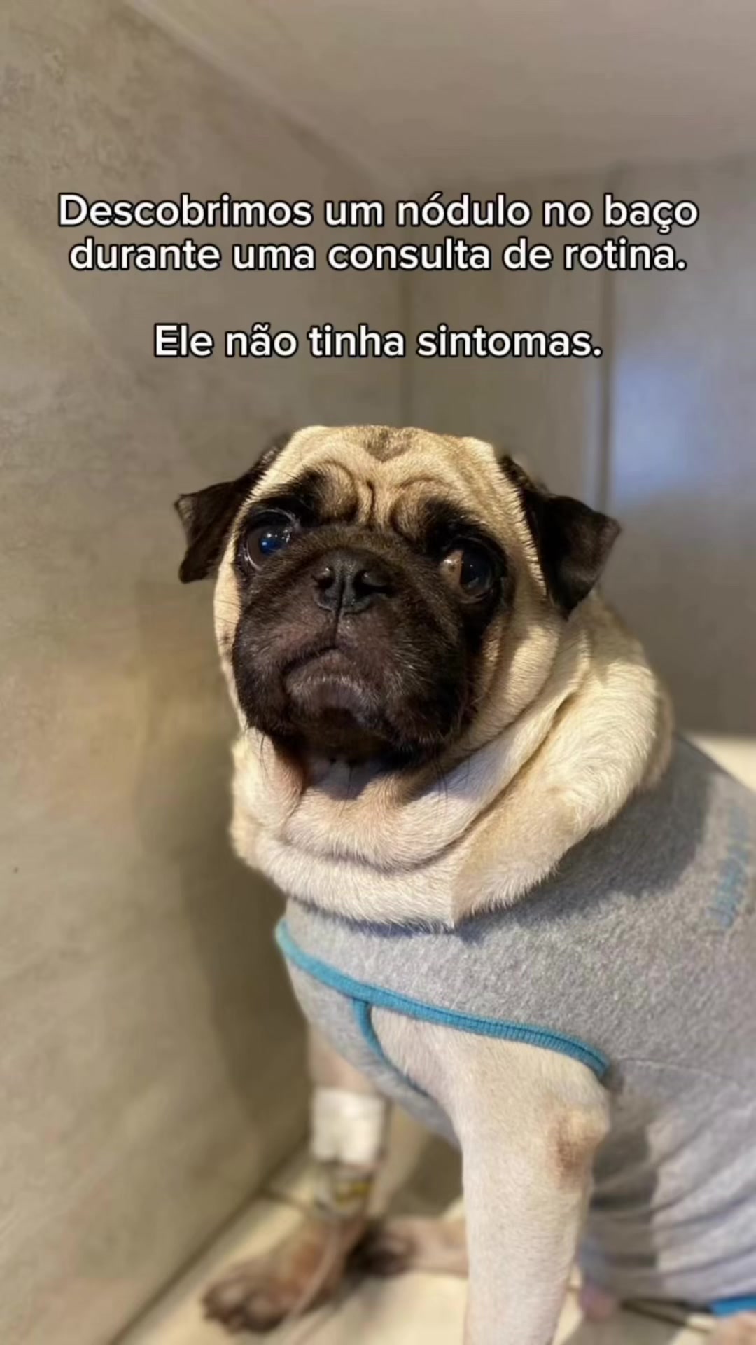 @FRANKINHO