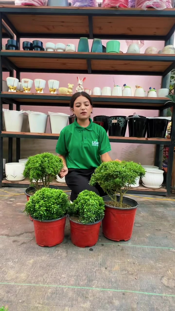 @Uday Garden Centre
