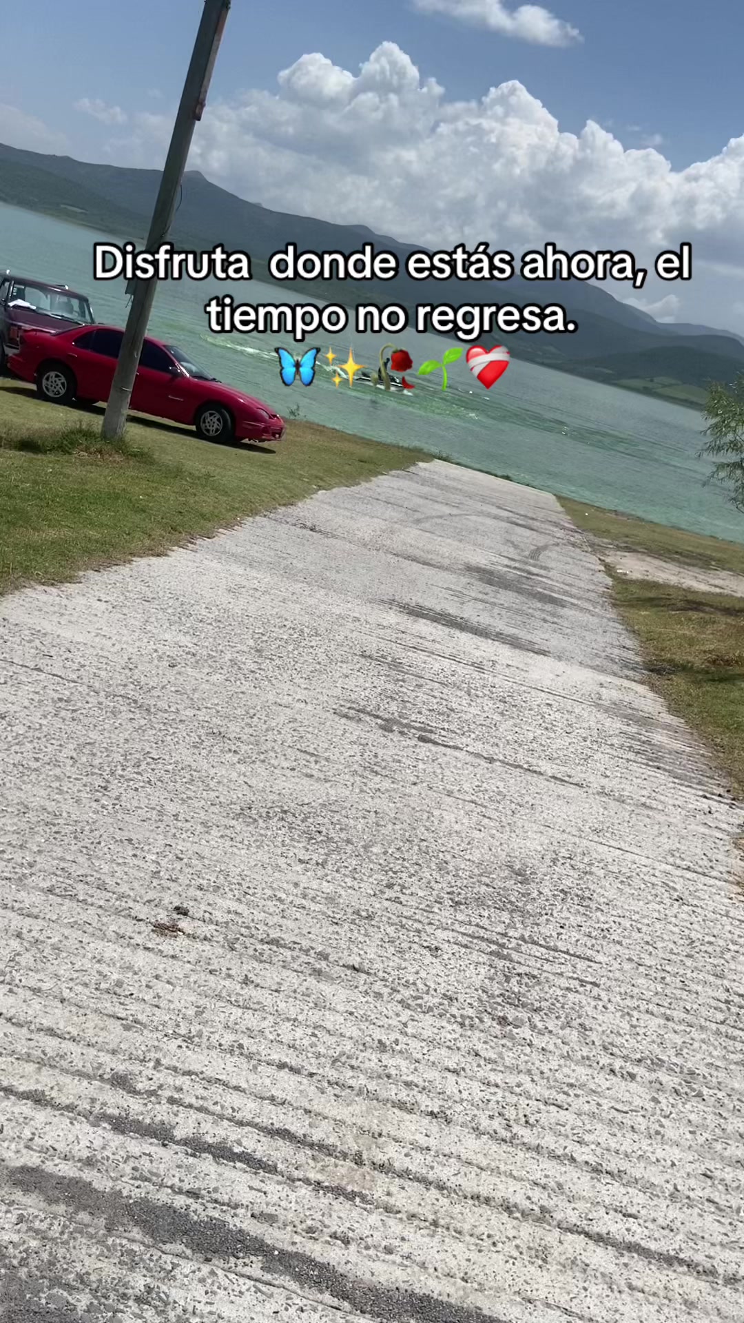 @dayana