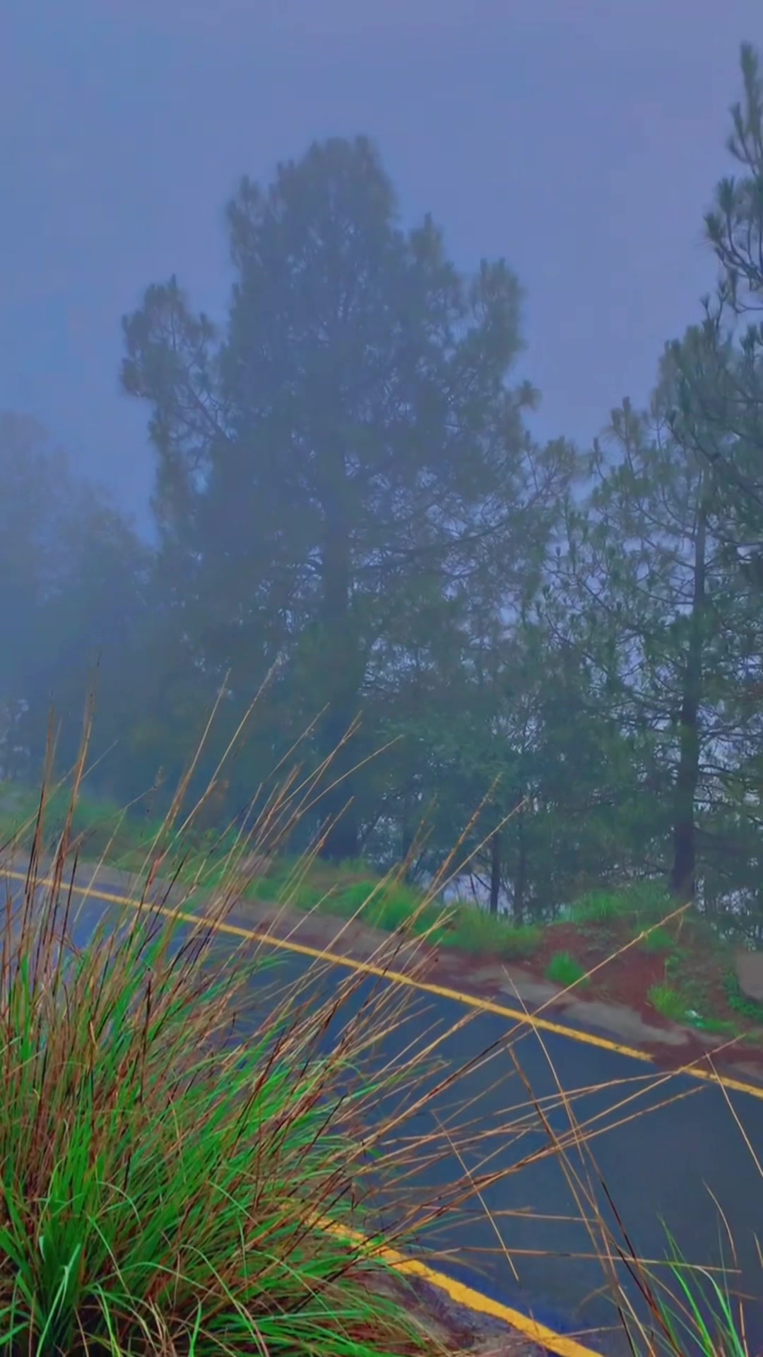 @کشمیری لوگ🏔️🦋