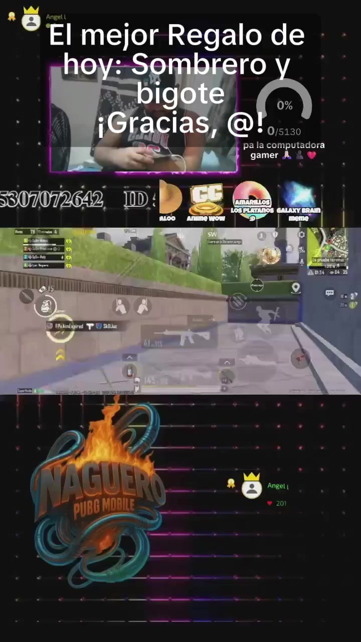 @Naguero pubg 23🐺