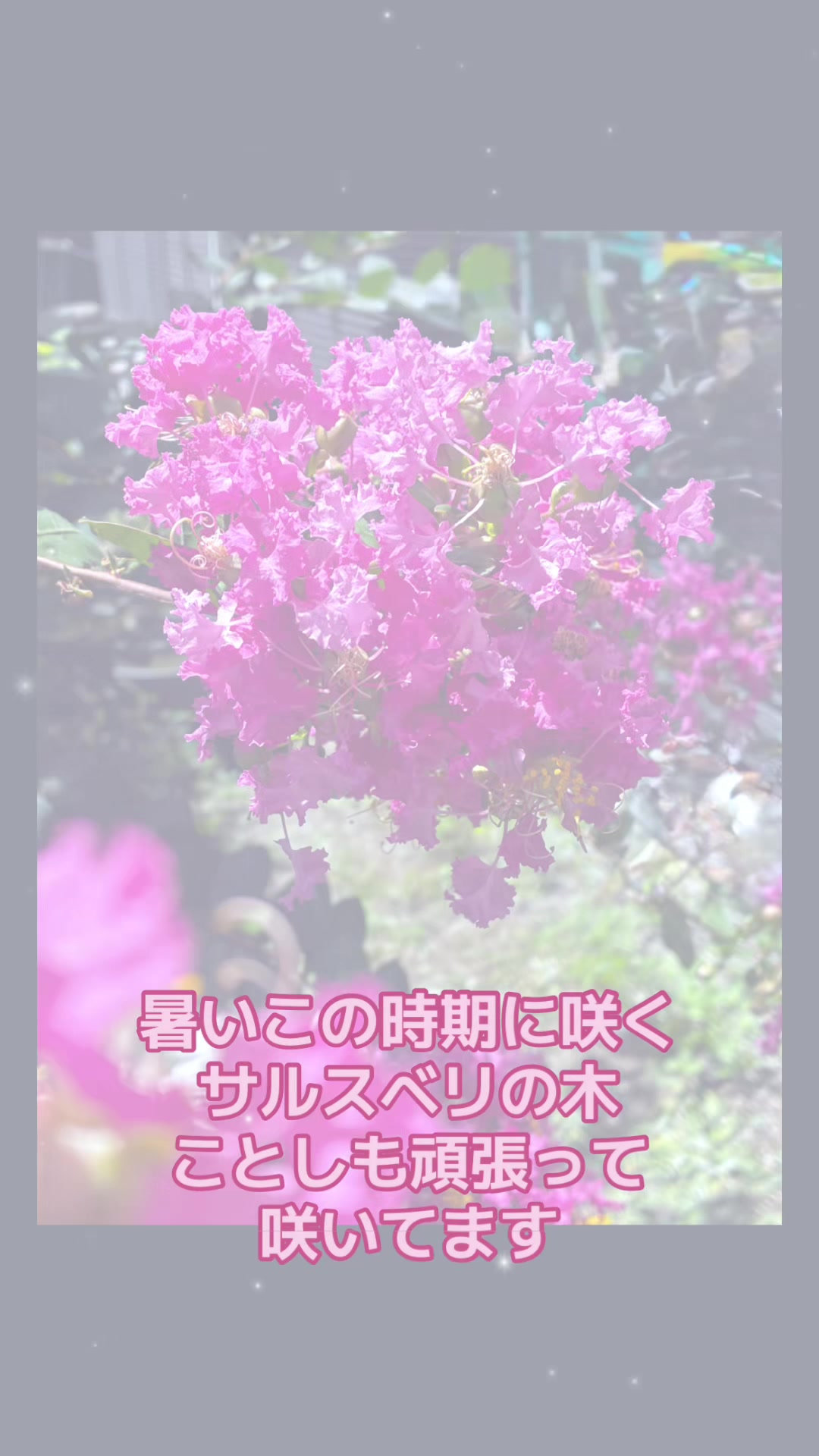 @ã¹ãºãªFaðð