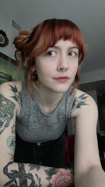 @faevvitch