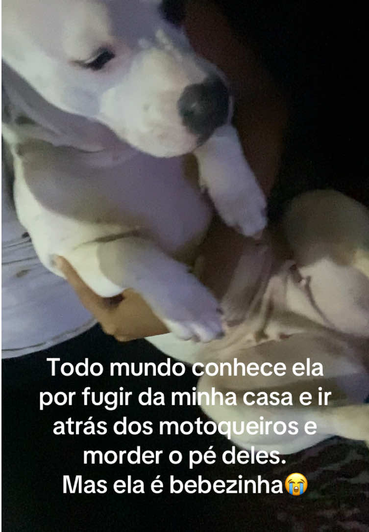 @bekasecrets