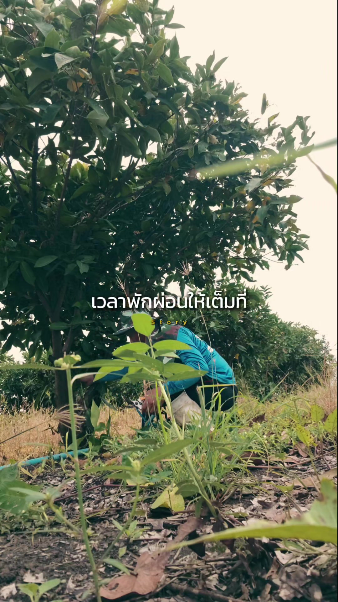 @อ.เต้ย บึงสามพัน