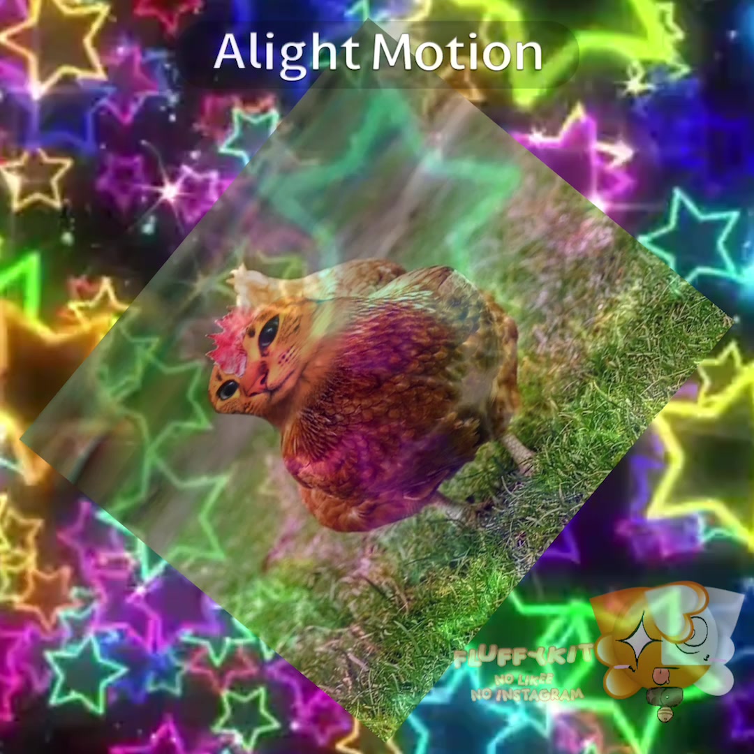 @💢❞ 💍ᨀ. 𝐅ʟᴜꜰꜰɪᴋᴏ☆