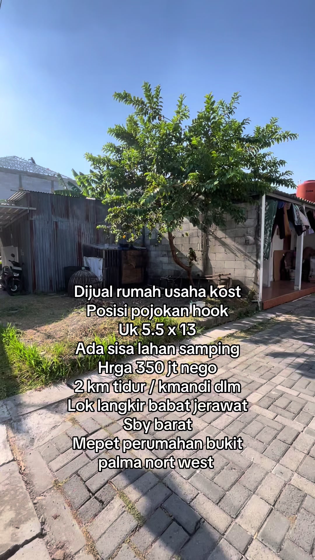 @Ig property