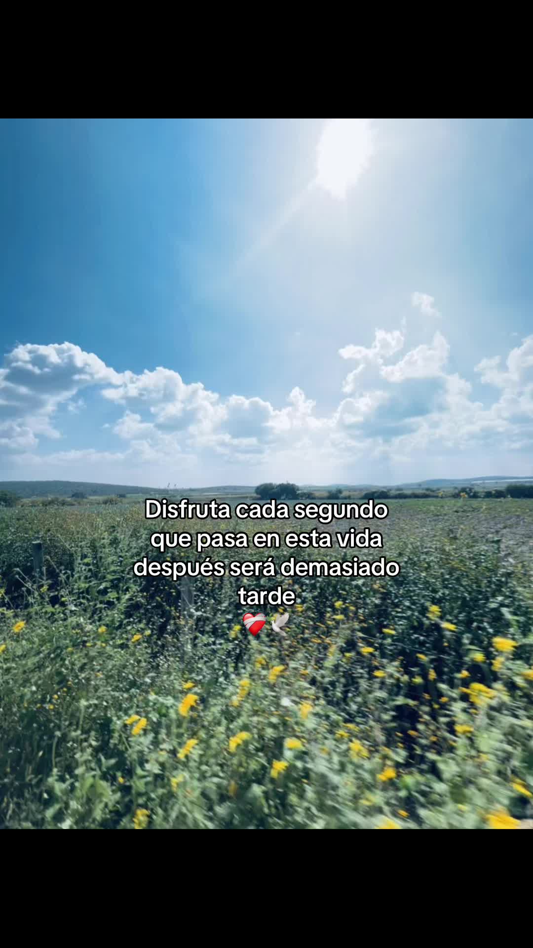 @Alan_25