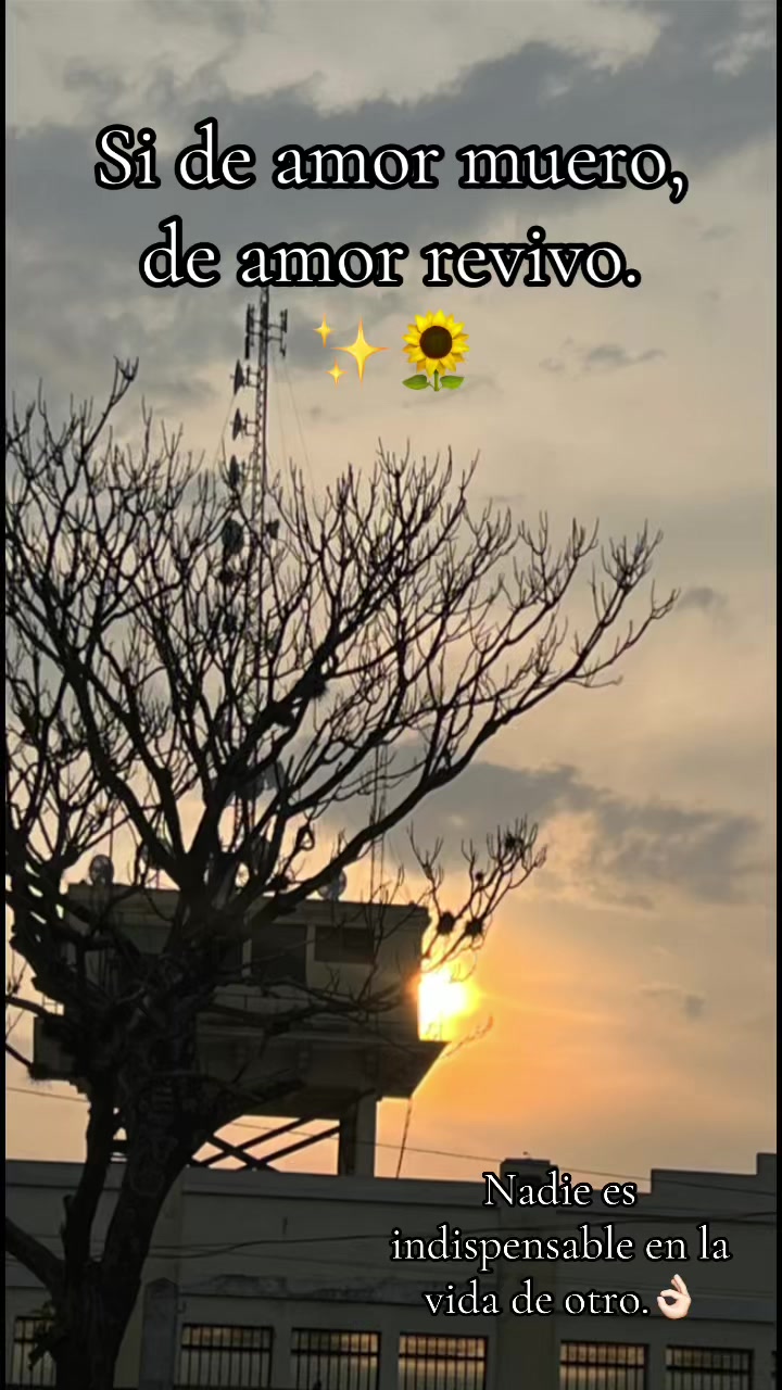@Kty✨️🌻
