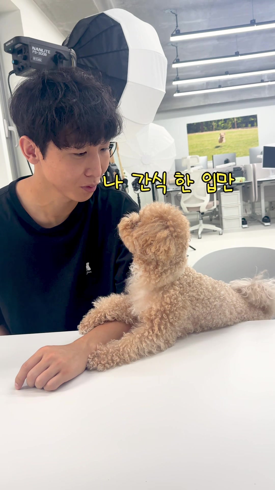 @원샷한솔