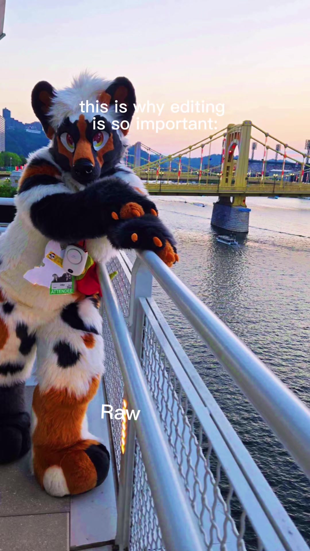 @inkmaw