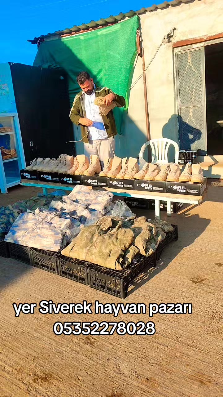 @baba yorgun 8282
