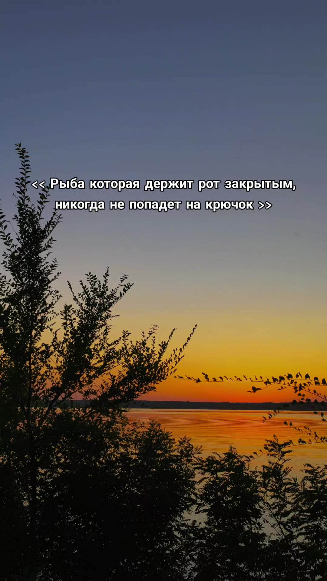 @_Arsen_Galych_