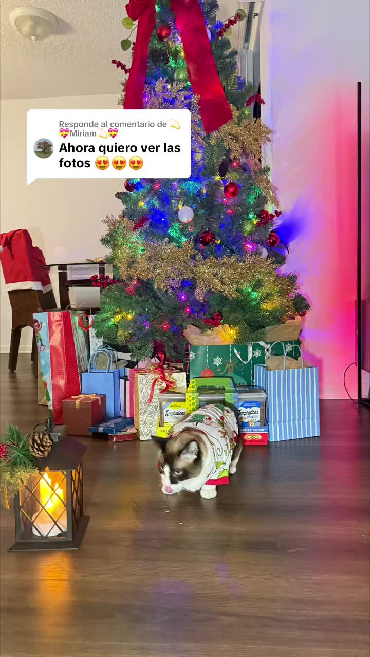 @Itzel Castellanos