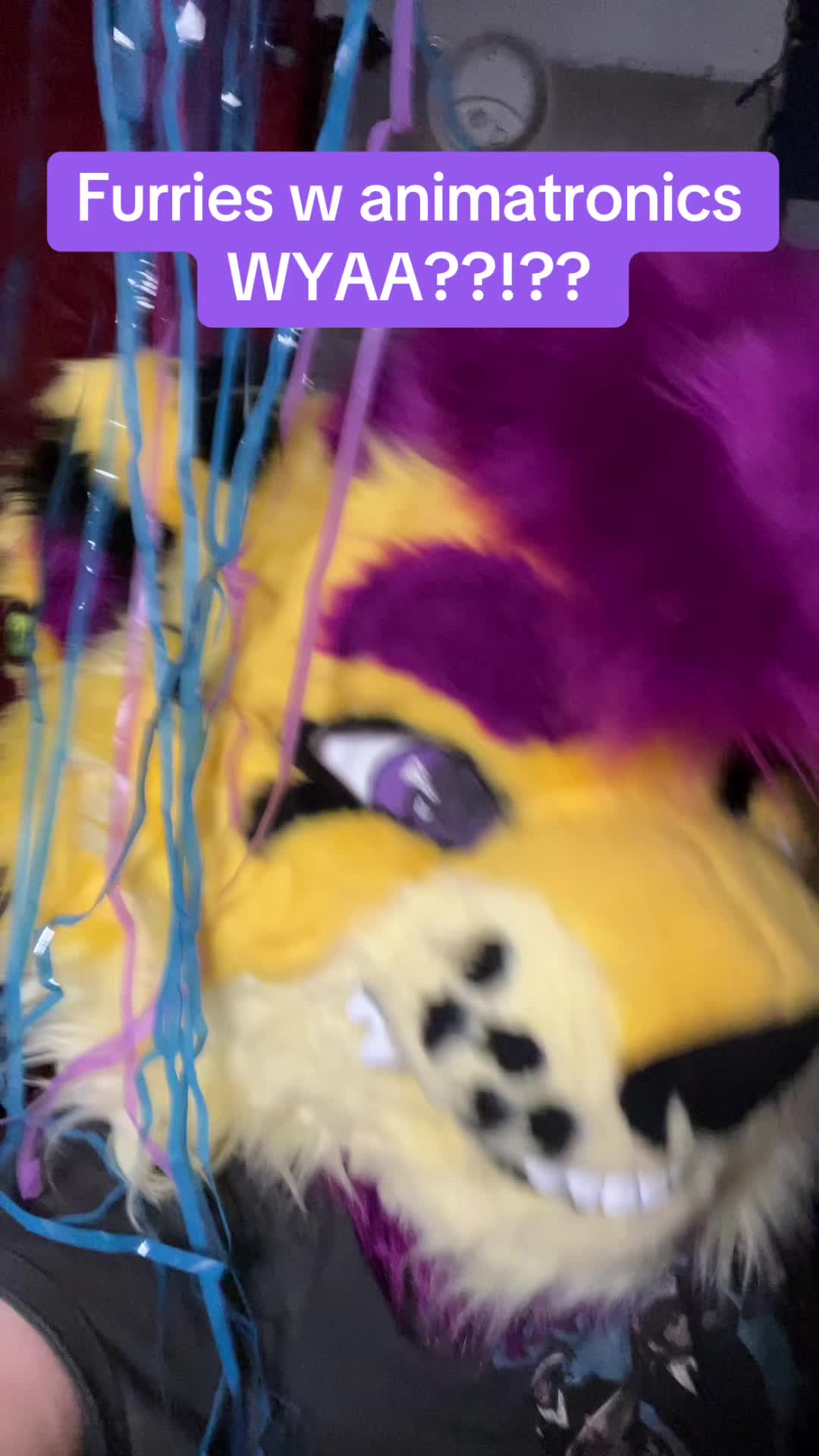 @Wolfyy!! ‼️‼️