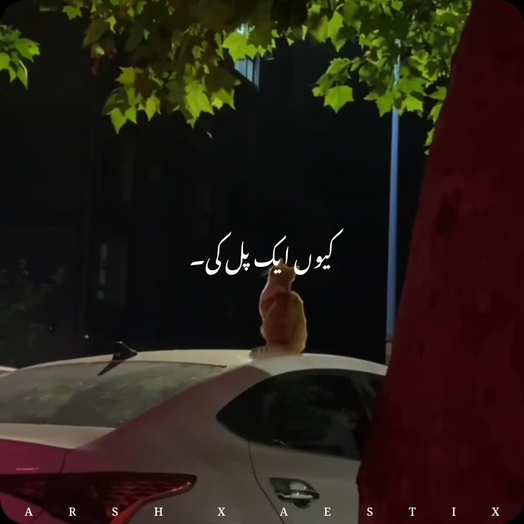 @๐๐๐๐ ๐ ๐๐๐๐๐๐