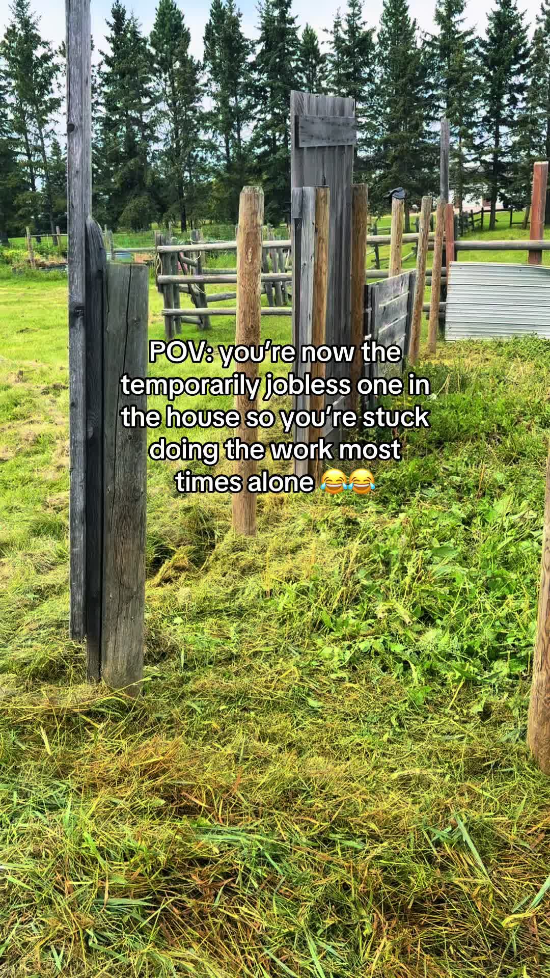 @Ferally Fowl Farmstead