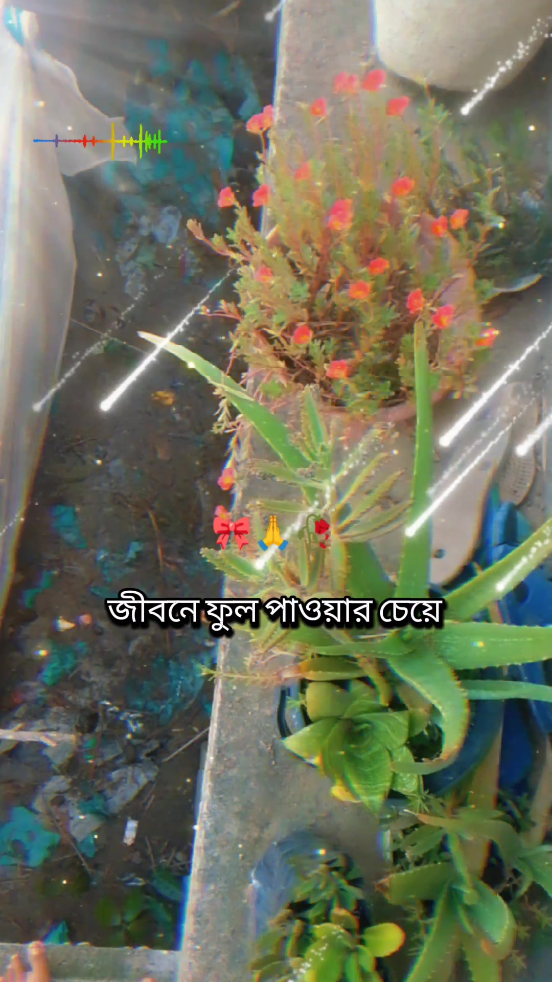 @দুটি মনের ভালোবাসা/S+R ✈️✈️❤️