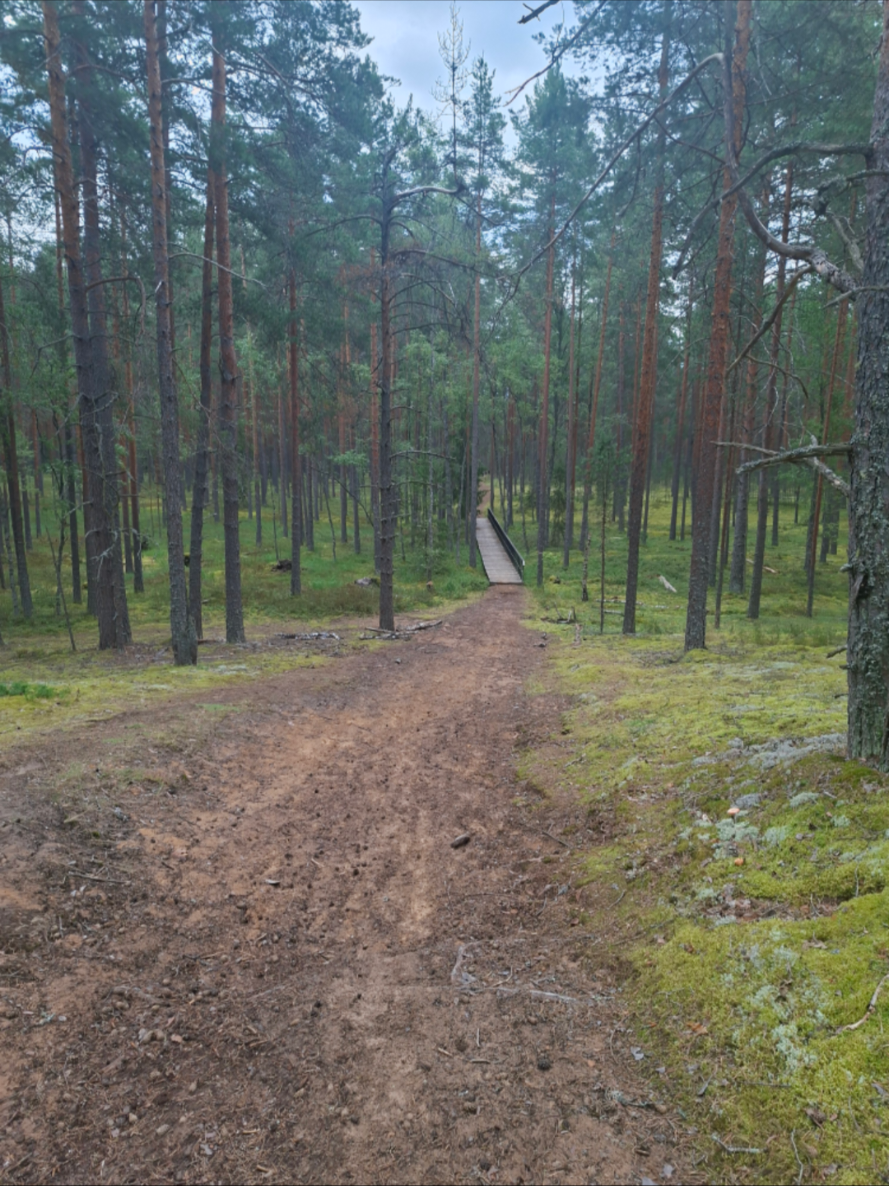 @Ольга