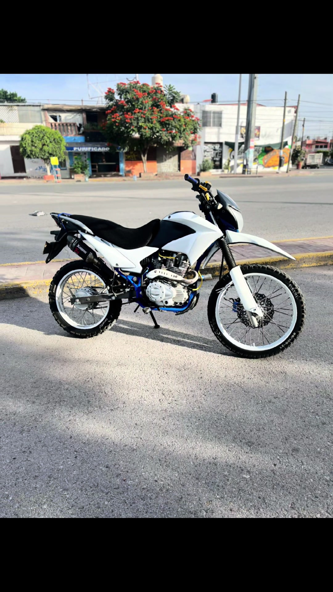 @elagusTinta
